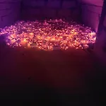 別荘 Sunflower House With Jacuzzy And Sauna *