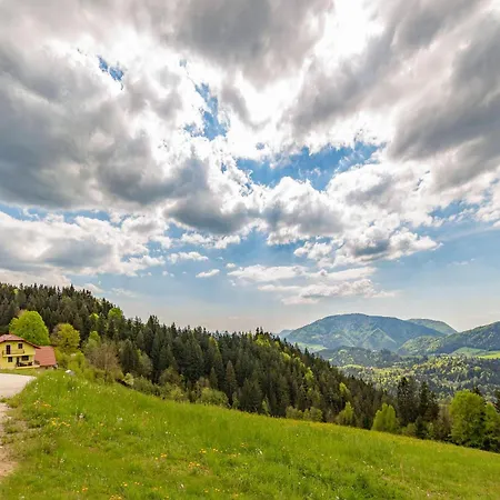 펜션 Sunflower House With Jacuzzy And Sauna