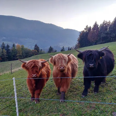 Sunflower House With Jacuzzy And Sauna 펜션 *