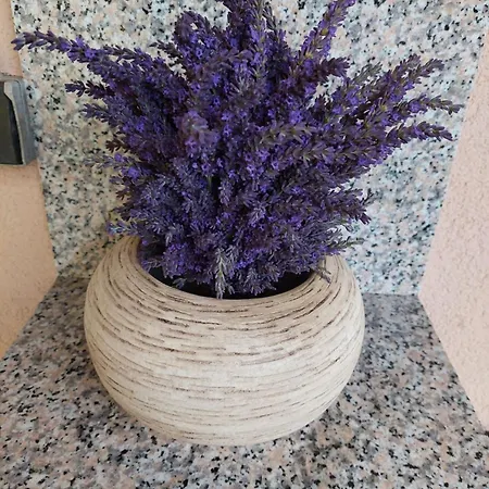 Sunflower House With Jacuzzy And Sauna 펜션 *