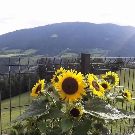 Nyaraló Sunflower House With Jacuzzy And Sauna