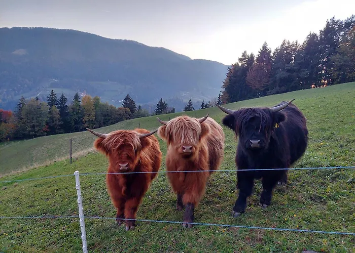 Sunflower House With Jacuzzy And Sauna Počitniška hiša *