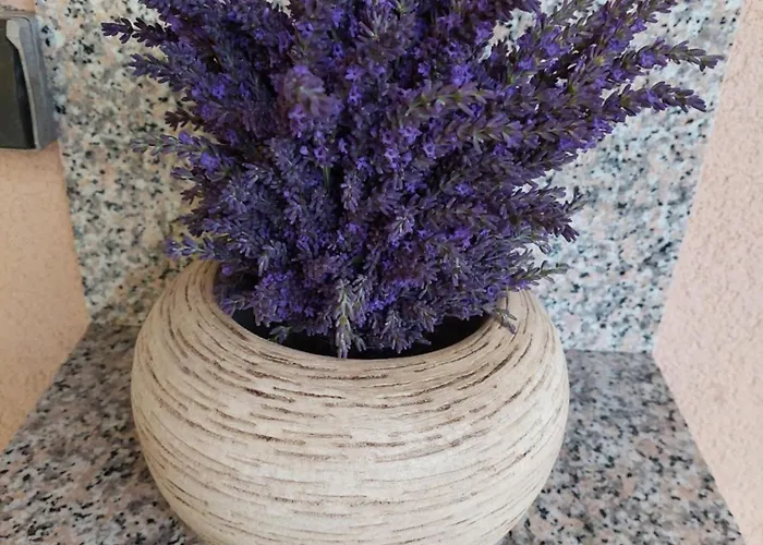 Sunflower House With Jacuzzy And Sauna Počitniška hiša *