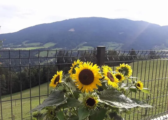 Počitniška hiša Sunflower House With Jacuzzy And Sauna